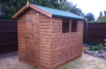 Apex Shed in Tongue and Groove Loglap