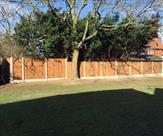 7' high Premium Feather Edge fencing dropping down to 6' high