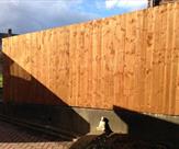 Closeboarded fencing