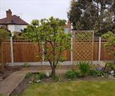 Premium feather edge fencing with trellis 2107