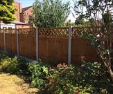 Premium feather edge fence panels with diamond trellis