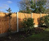 Stepped 6' x 5' Premium Feather Edge Panels with Concrete Posts and Gravel Boards