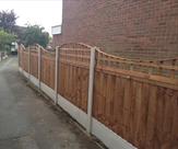 Wave effect style trellis on top of fencing