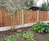 Fences_-Another-happy-customer-in-Bramcote