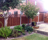 F49 - Fence with Diamond trellis